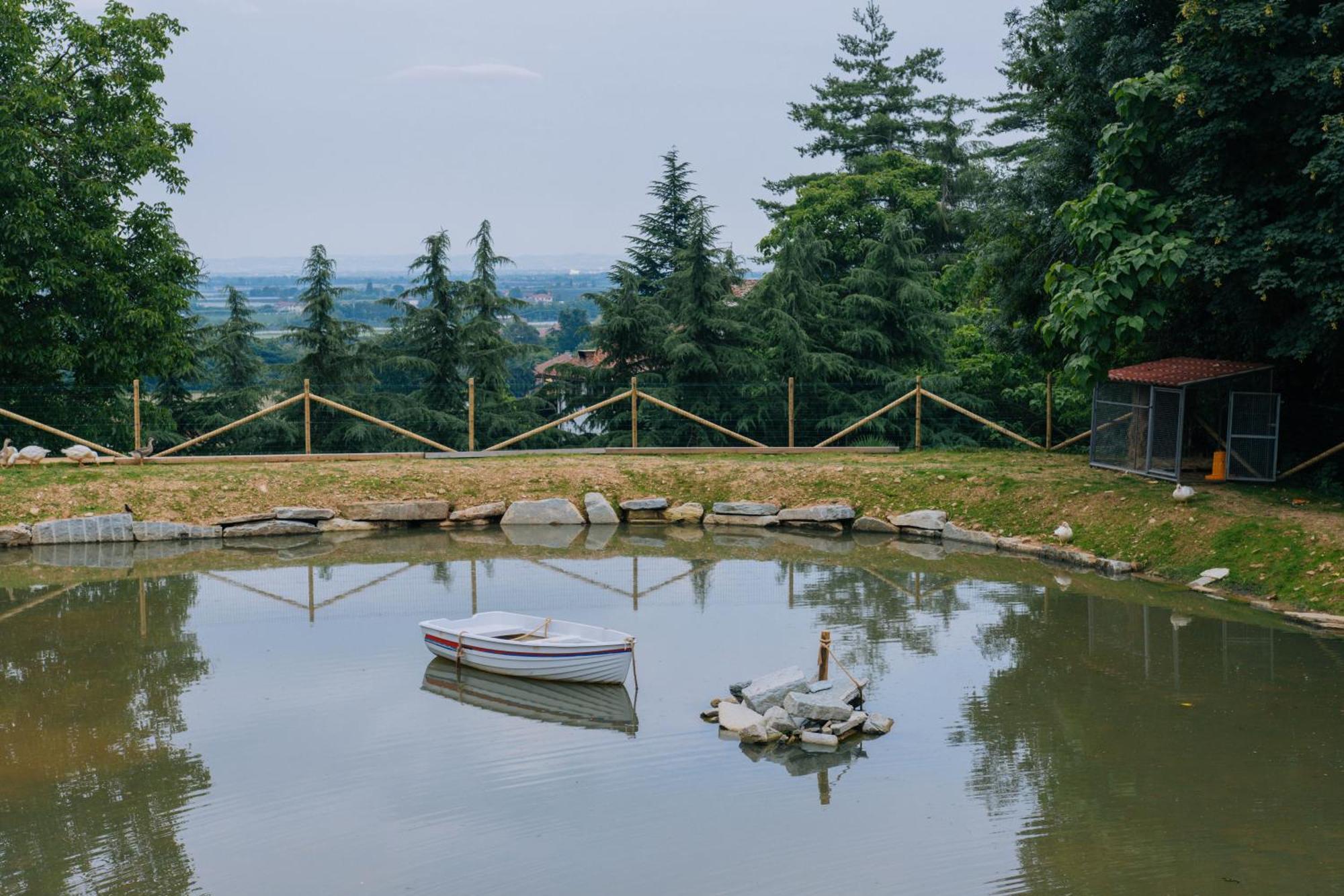 Agriturismo Agli Ulivi 살루초 외부 사진